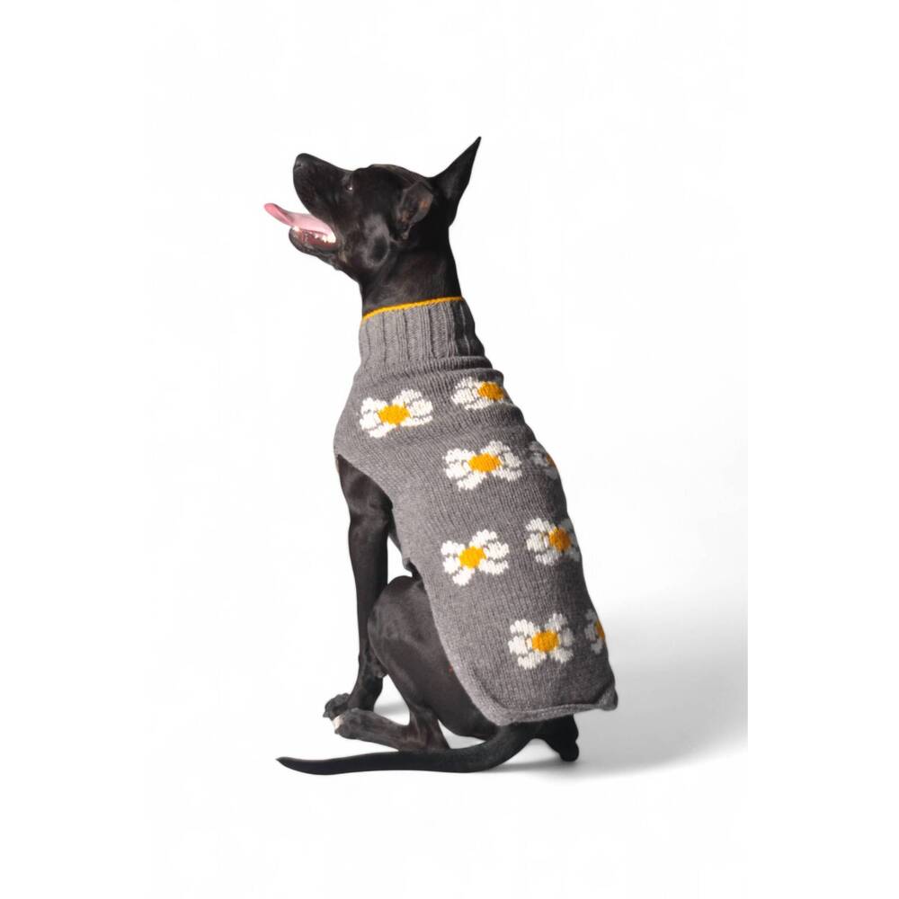NEW CHILLY DOGS daisy dog sweater in gray